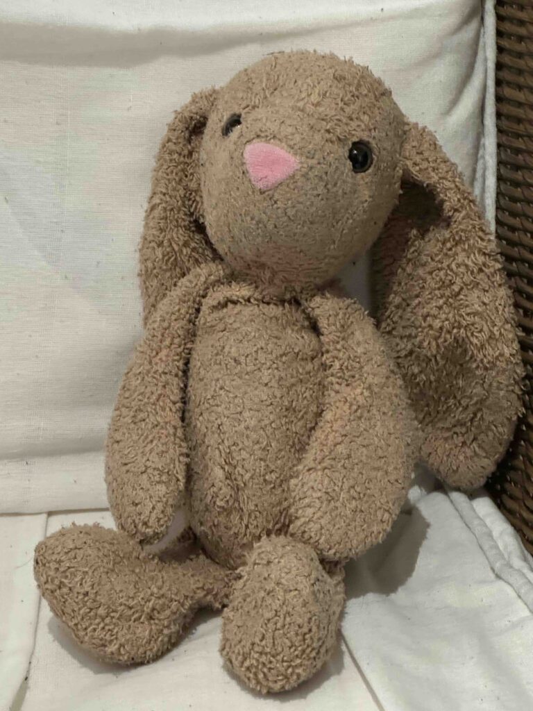 Teddy